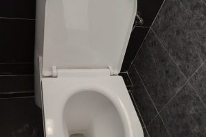 Toilet (NEW seated bowl) Toilet (NEW seated bowl)