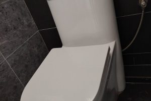 Toilet (NEW seated bowl) Toilet (NEW seated bowl)